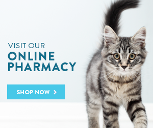 Online Pharmacy - Shop Now